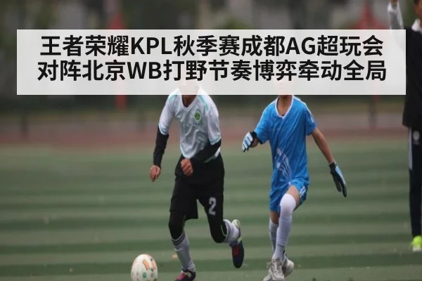 王者荣耀KPL秋季赛成都AG超玩会对阵北京WB打野节奏博弈牵动全局